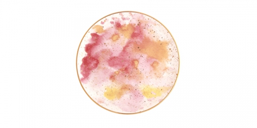Porcelain Flat plate COSMOS