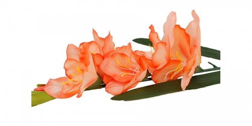 ყვავილი ხელოვნური, GLADIOLUS PINK