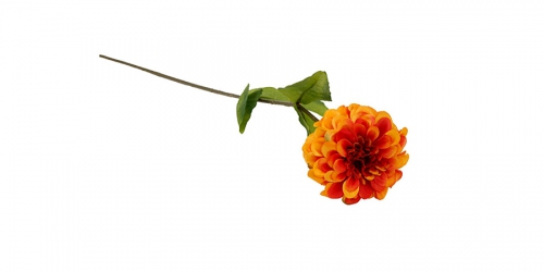 Flower, GERBERA ORANGE