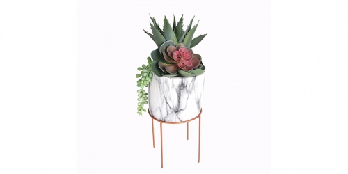 Flower, MIX SUCCULENT IN POT