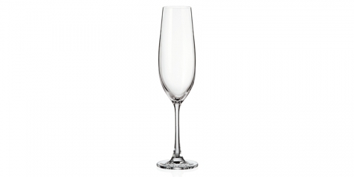 Champagne flute SARAH TITANIUM