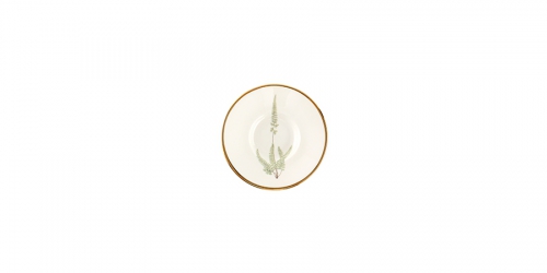 Tea Saucer, BOTANICAL