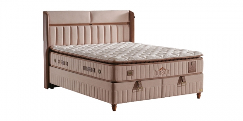 Mattress with pocket springs BIOSALT
