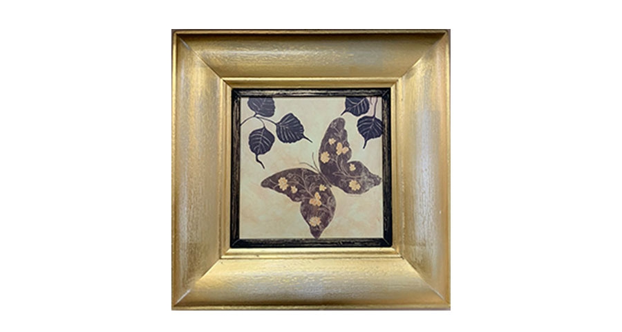 Picture, FARFALLE