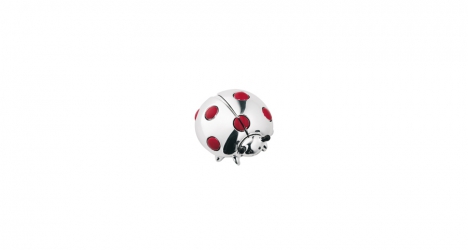 Decorative Accessory Ladybug