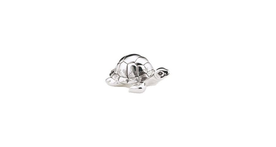 Decorative Accessory Tortoise