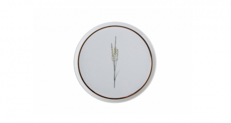 Porcelain Flat plate BOTANICAL