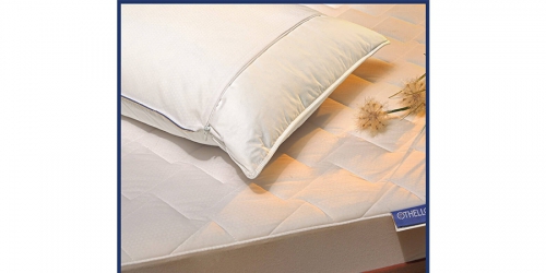 Microfiber Pillow COOLLA MAX SOFT