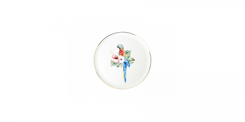 Porcelain Flat plate EXOTIC