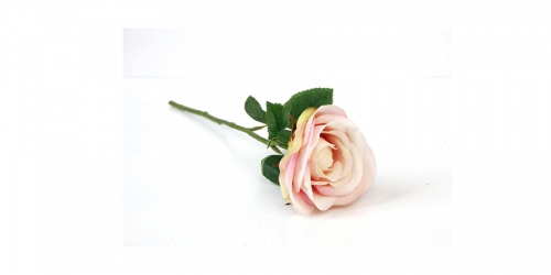 Artificial Flower, ROSE WHITE&PINK