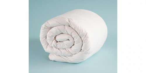 საბანი ბატის ბუმბულის DOWNA 70